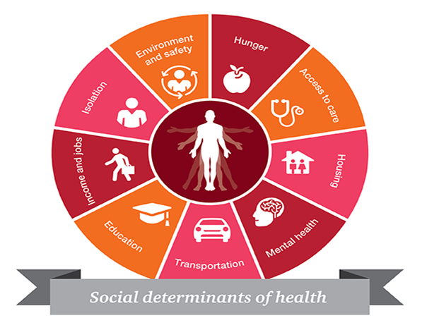 Sustainable Healthcare Practices and Policies That Tackle the Roots of Health