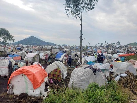 Global Response to Humanitarian Crises: What’s Working, What’s Not.      